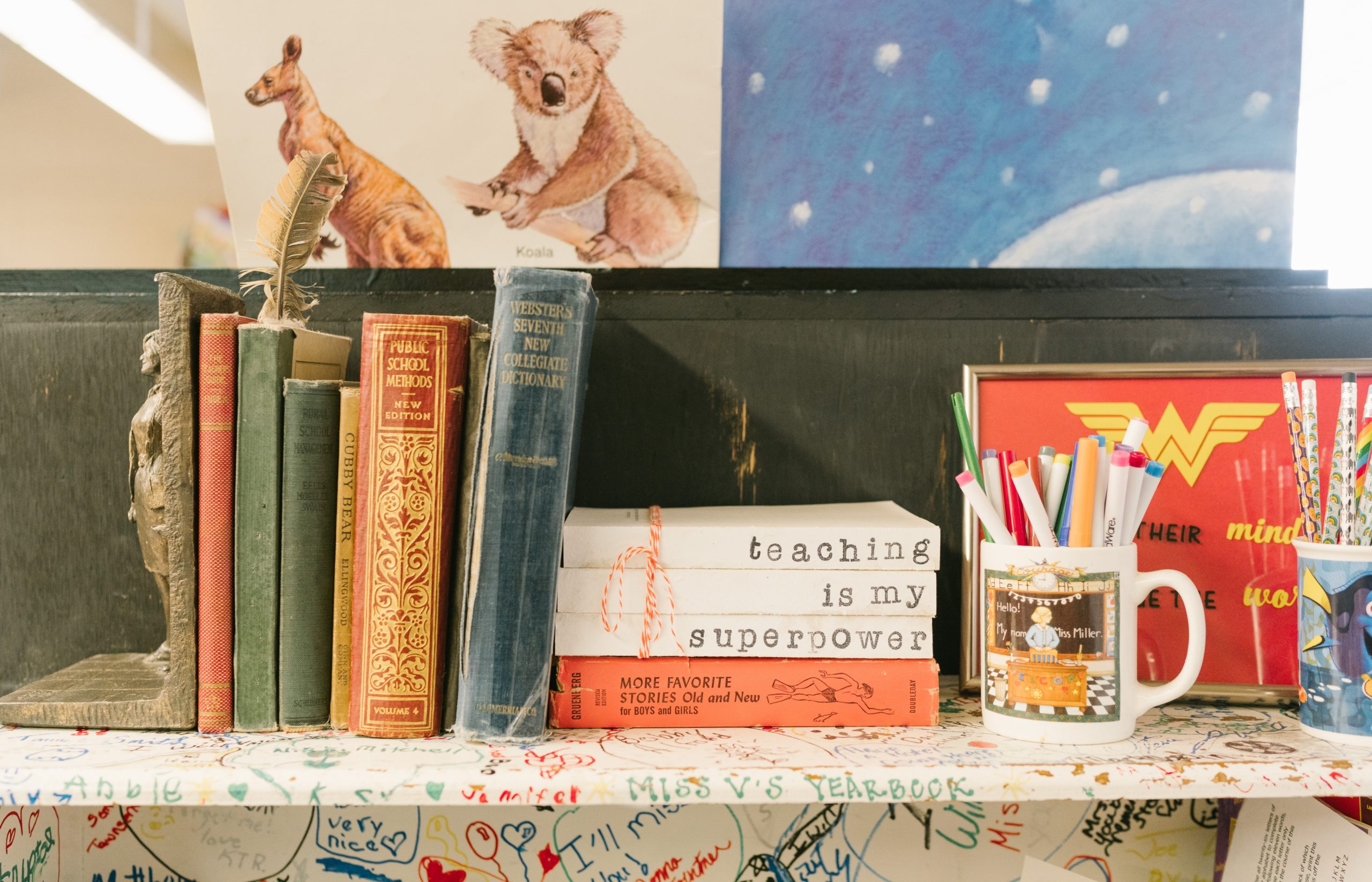 Books shelves